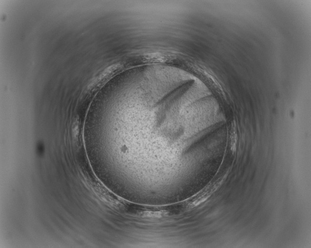 X0000085210314200703231513