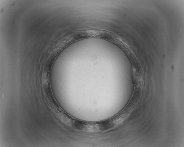 X0000085210317200703231513