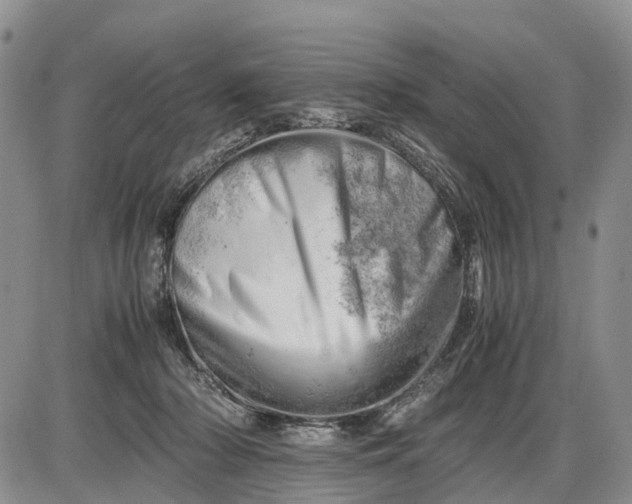 X0000085210318200703231513