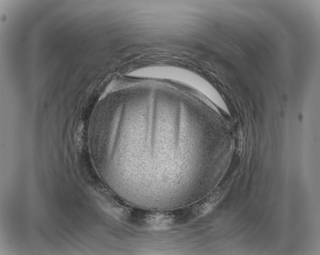 X0000085210319200703231513