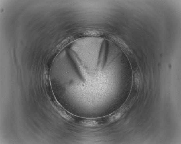 X0000085210322200703231513