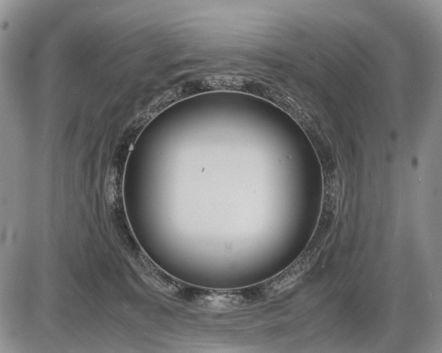 X0000085210323200703231513