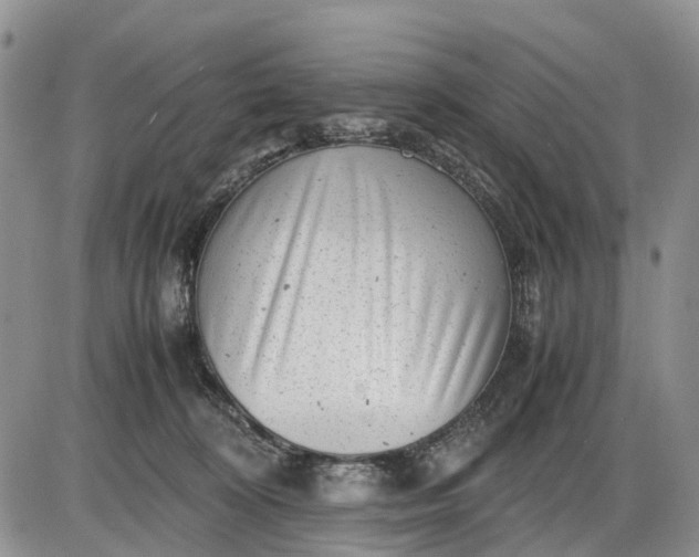 X0000085210324200703231513