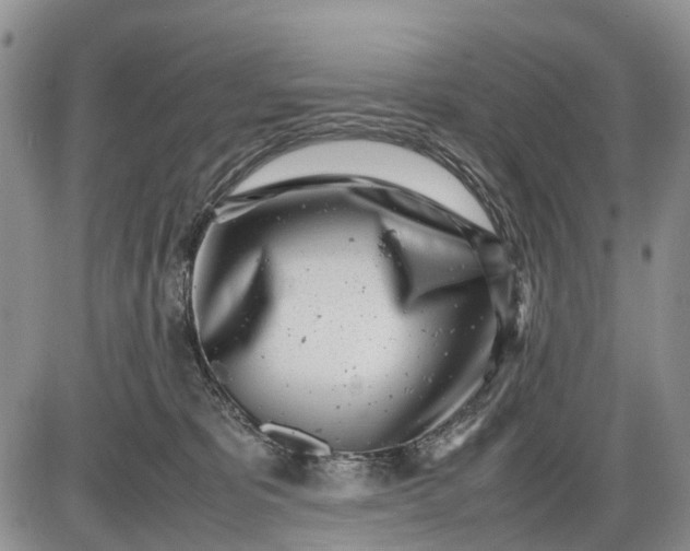 X0000085210325200703231513