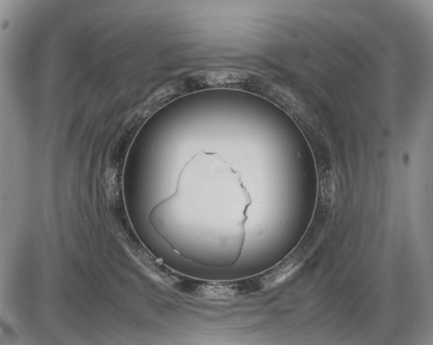 X0000085210327200703231513