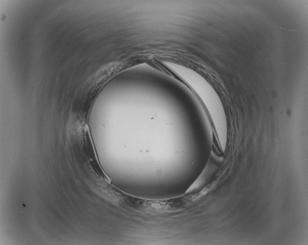 X0000085210329200703231513