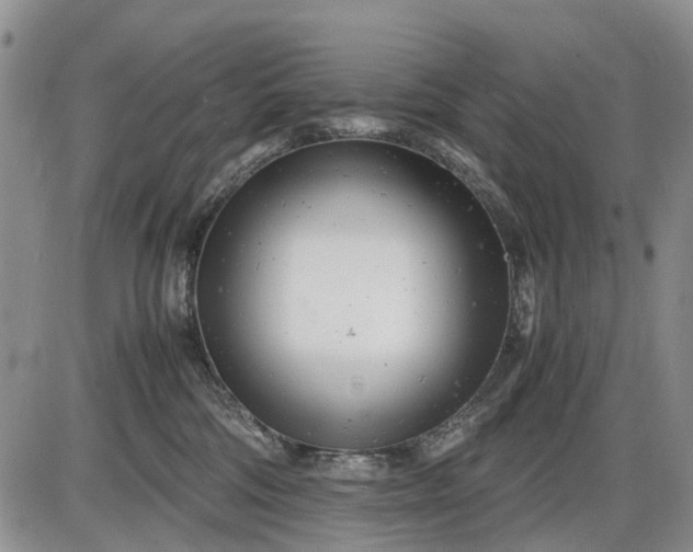 X0000085210330200703231513