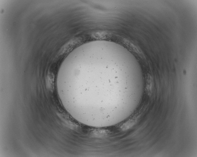 X0000085210332200703231513