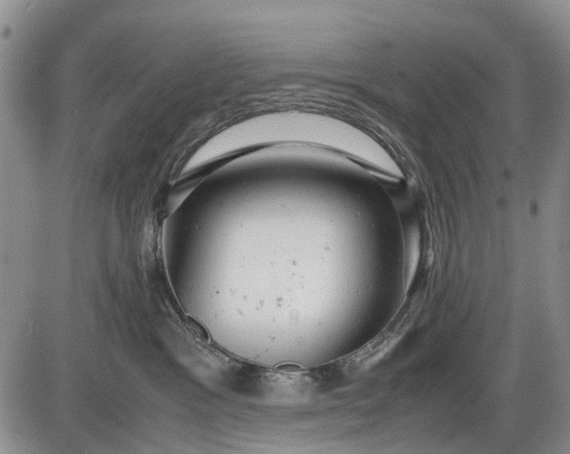 X0000085210333200703231513