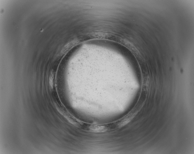 X0000085210334200703231513