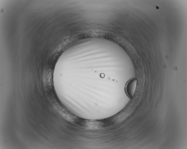 X0000085210336200703231513