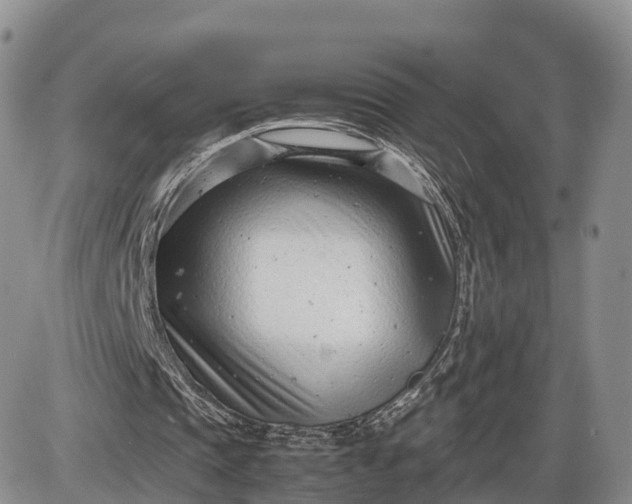 X0000085210337200703231512