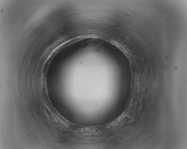 X0000085210338200703231512