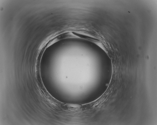 X0000085210340200703231512