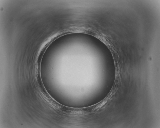 X0000085210342200703231512