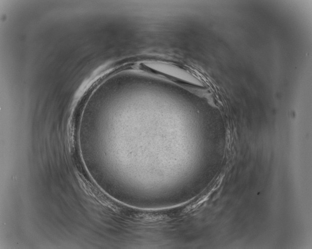 X0000085210343200703231512