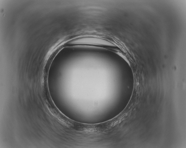 X0000085210344200703231512