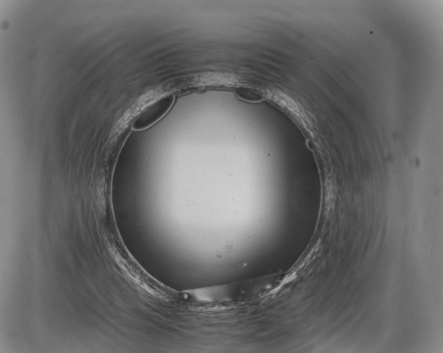 X0000085210345200703231512