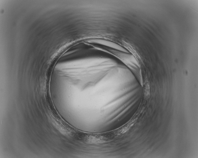 X0000085210346200703231512