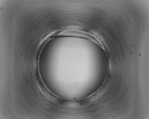 X0000085210348200703231512