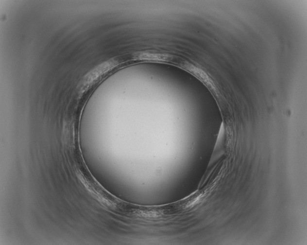 X0000085210349200703231513