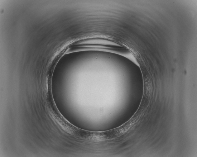 X0000085210350200703231513