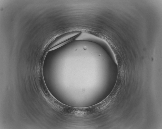 X0000085210352200703231513