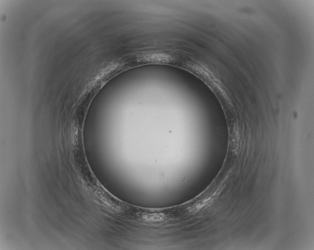 X0000085210355200703231513