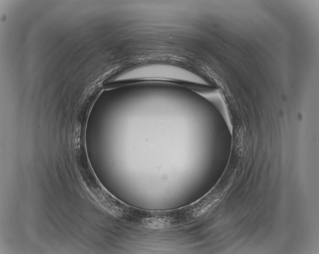 X0000085210356200703231513