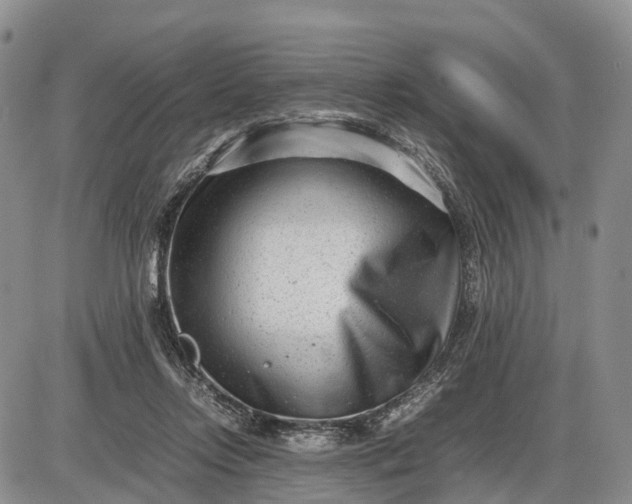 X0000085210358200703231513