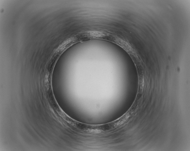 X0000085210360200703231513