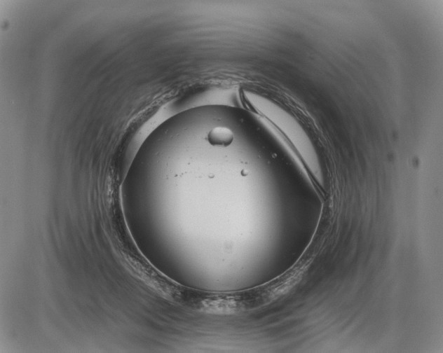 X0000085210362200703231513