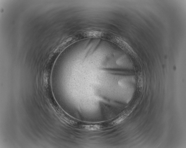 X0000085210363200703231513