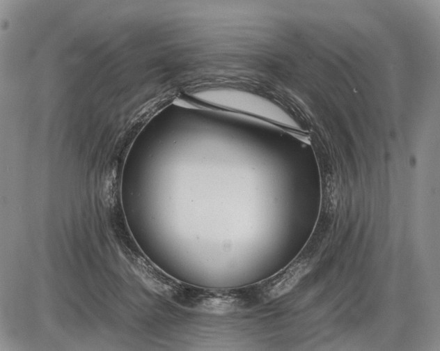 X0000085210364200703231513