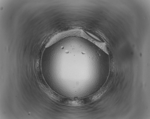 X0000085210365200703231513