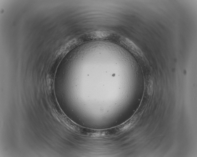 X0000085210366200703231513