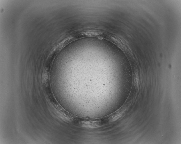 X0000085210367200703231513