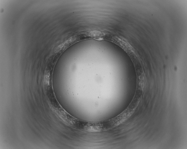 X0000085210368200703231513