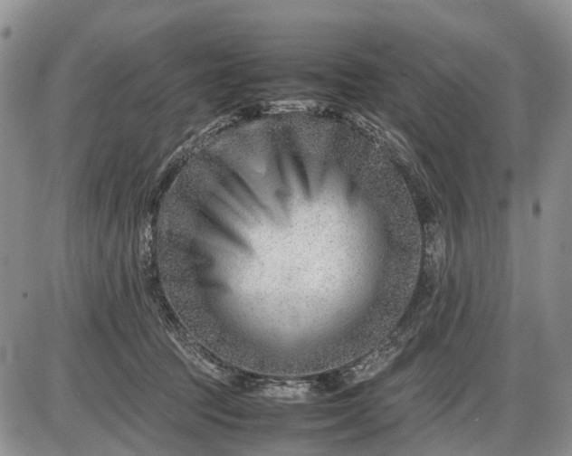 X0000085210369200703231513