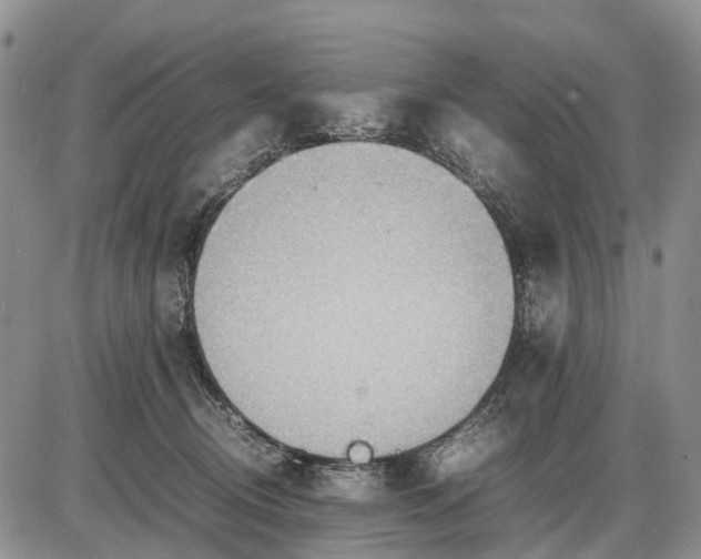 X0000085210370200703231513