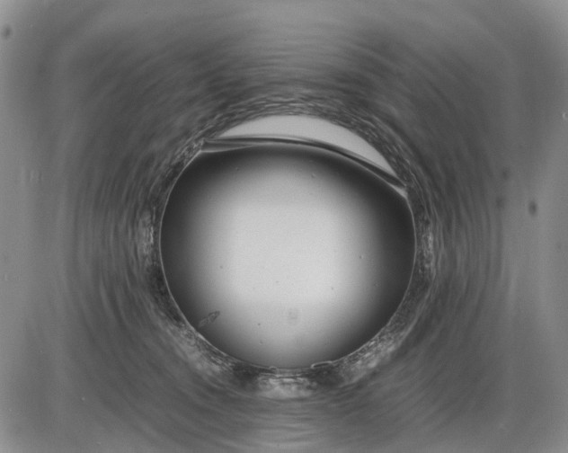 X0000085210372200703231513