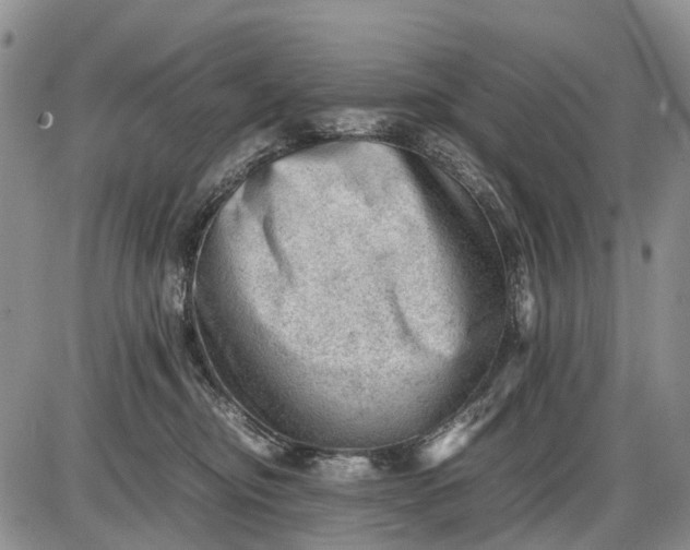 X0000085210374200703231513