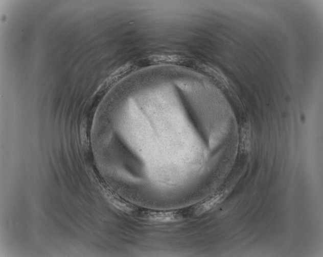 X0000085210377200703231513