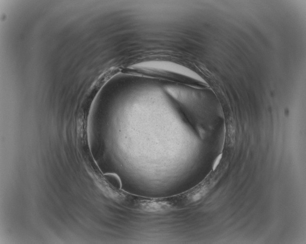 X0000085210379200703231513