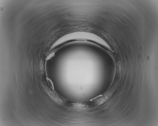 X0000085210380200703231513