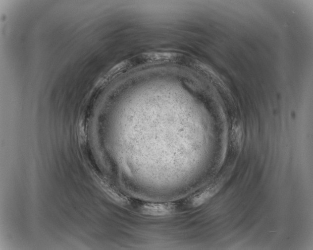 X0000085210381200703231513