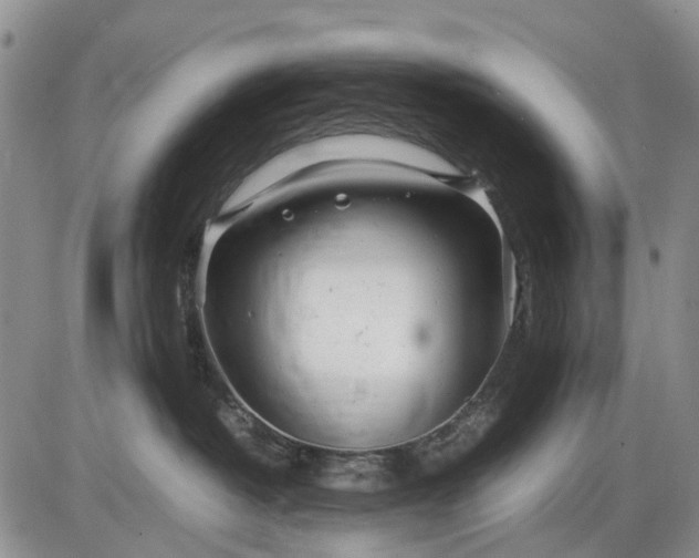 X0000085210382200703231513