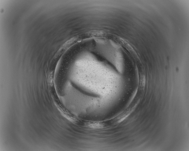 X0000085210383200703231513