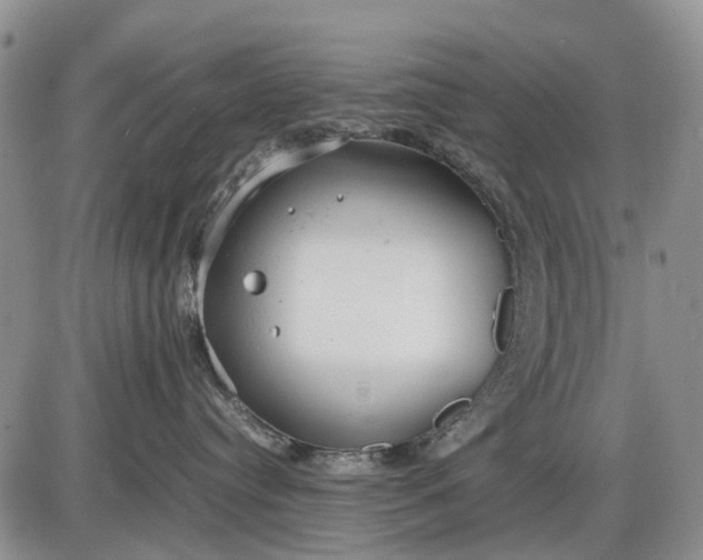 X0000085210384200703231513