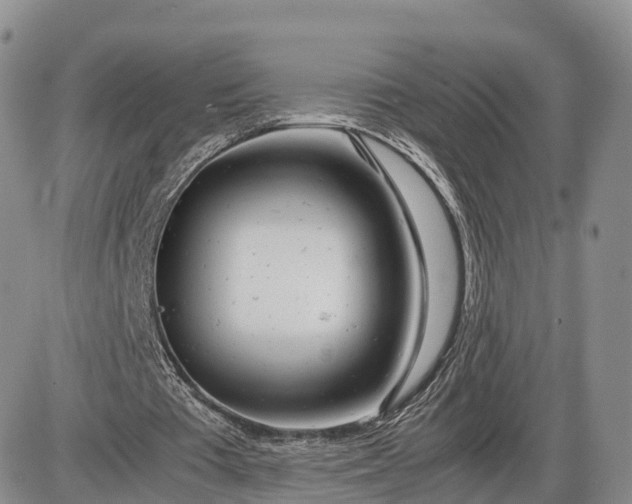 X0000085210385200703231512